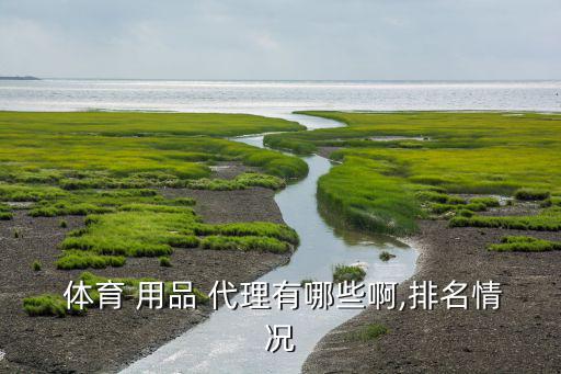  体育 用品 代理有哪些啊,排名情况