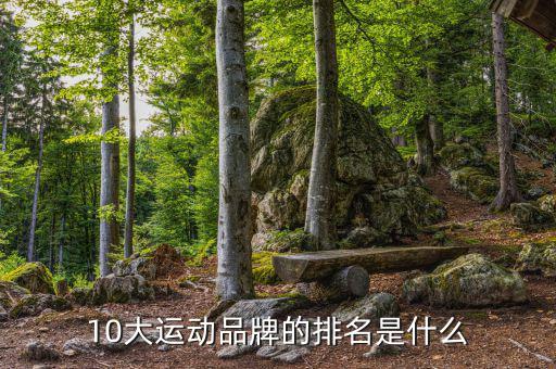 体育运动服装品牌排行榜,中国体育运动服装十大名牌排名