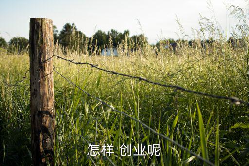 怎样 创业呢