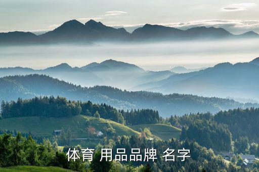 体育 用品品牌 名字