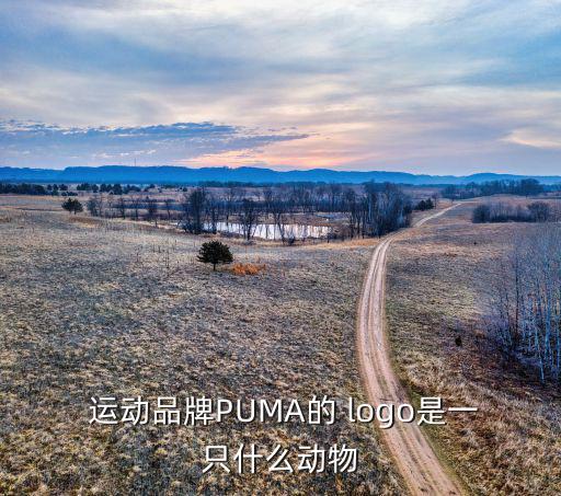  运动品牌PUMA的 logo是一只什么动物