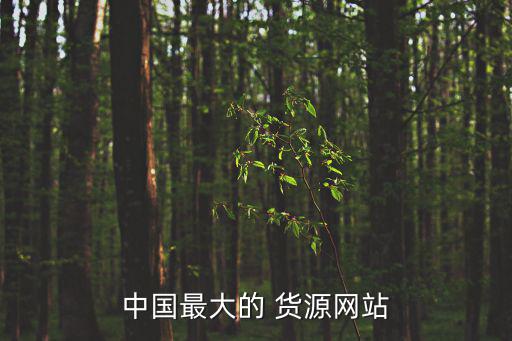 中国最大的 货源网站
