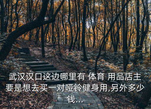 武汉汉口这边哪里有 体育 用品店主要是想去买一对哑铃健身用,另外多少钱...