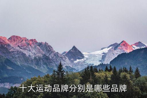 十大运动品牌分别是哪些品牌