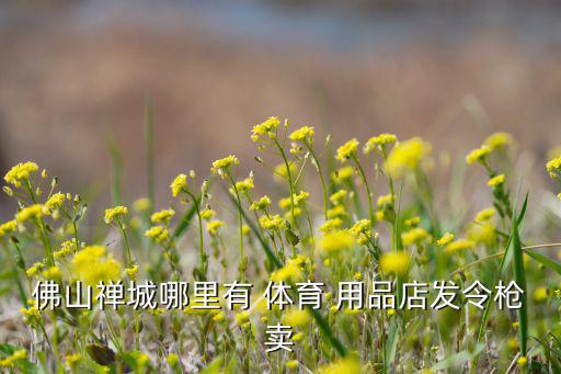 佛山禅城哪里有 体育 用品店发令枪卖