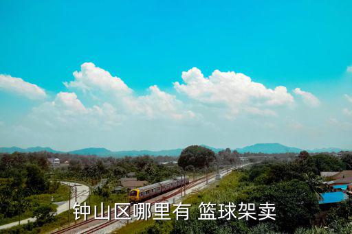 钟山区哪里有 篮球架卖