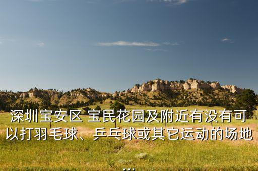 深圳宝安区 宝民花园及附近有没有可以打羽毛球、乒乓球或其它运动的场地...