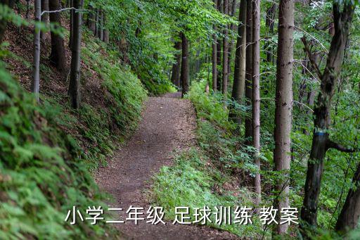 小学足球教案100例,《趣味足球》教案一文看懂