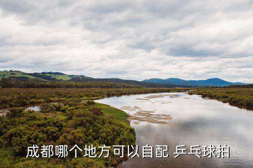 成都乒乓球拍专卖店,输入群聊乒乓球或可咨询球友