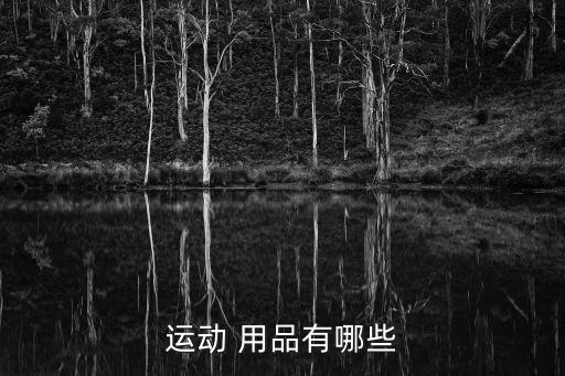 运动 用品有哪些