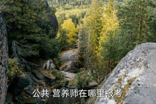 公共 营养师在哪里报考