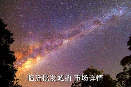 临沂批发城的 市场详情