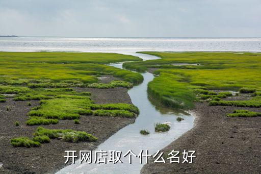 厨房用品店起名,殡葬用品店起名大全