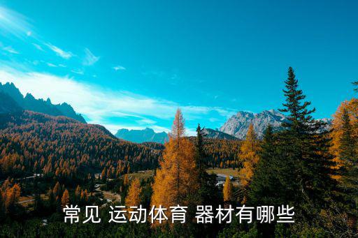 常见 运动体育 器材有哪些