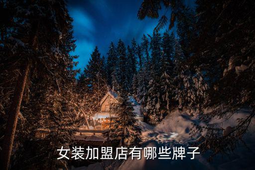  女装加盟店有哪些牌子