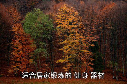 家庭买什么健身器材最实用最安全,家庭室内什么健身器材好