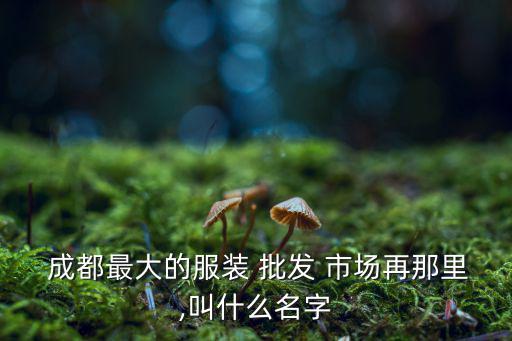  成都最大的服装 批发 市场再那里,叫什么名字