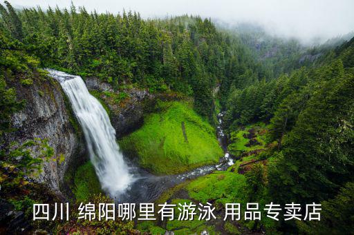 四川 绵阳哪里有游泳 用品专卖店