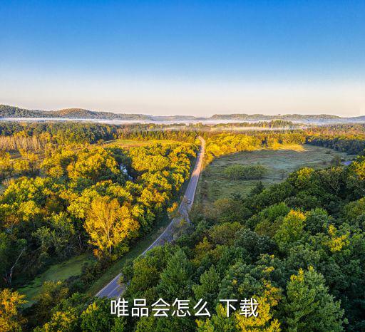  唯品会怎么 下载