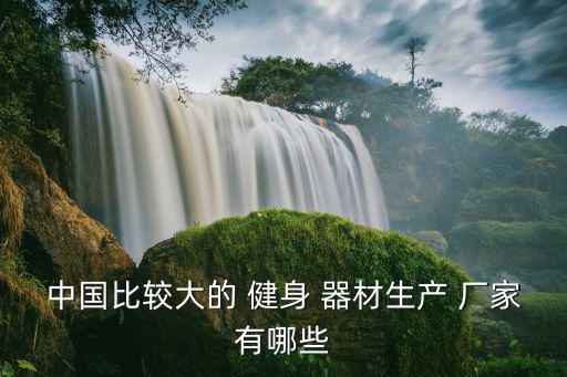 中国比较大的 健身 器材生产 厂家有哪些