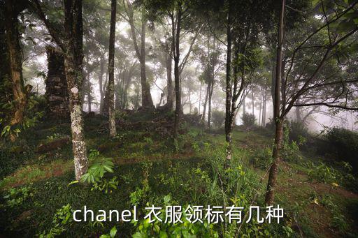 衣服标志图案大全,奢侈品衣服标志图案大全