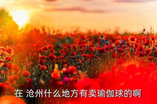 沧州哪里有体育用品店,体育用品store有没有?可以去看看
