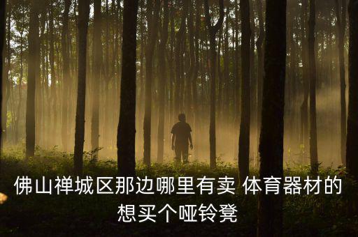 佛山禅城区那边哪里有卖 体育器材的想买个哑铃凳