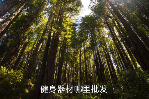 浏阳哪里卖体育用品的地方,广州哪里有卖体育用品的地方