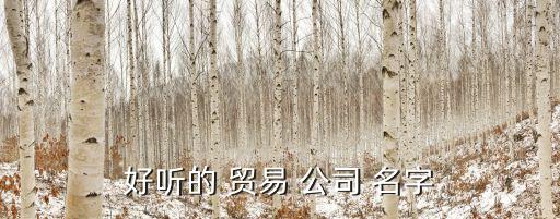 好听的 贸易 公司 名字