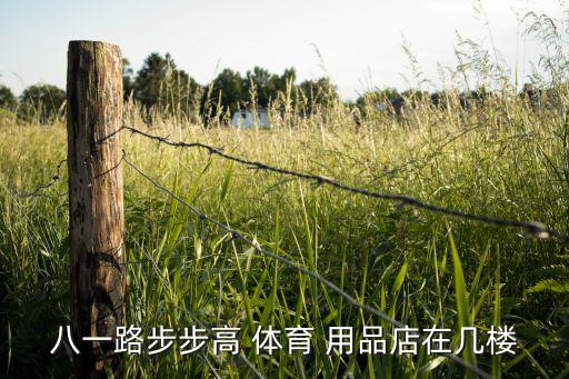 八一路步步高 体育 用品店在几楼