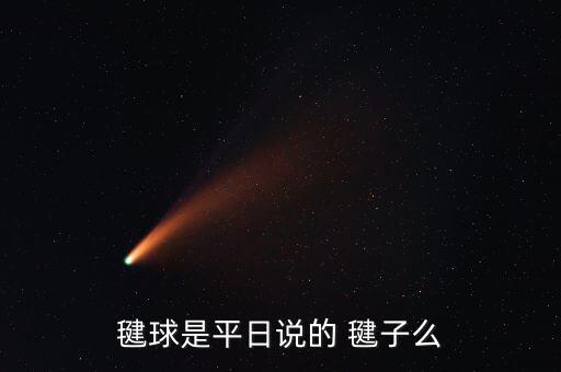 毽球是平日说的 毽子么
