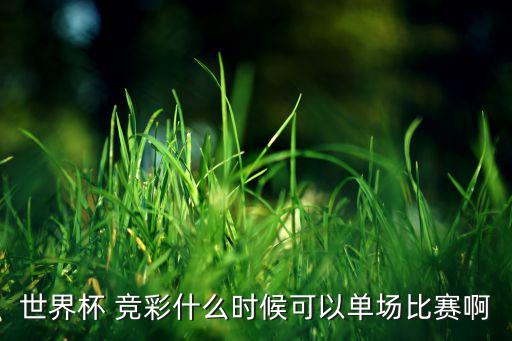世界杯 竞彩什么时候可以单场比赛啊