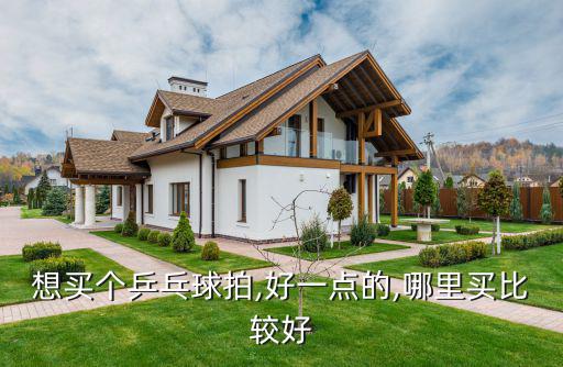 想买个乒乓球拍,好一点的,哪里买比较好
