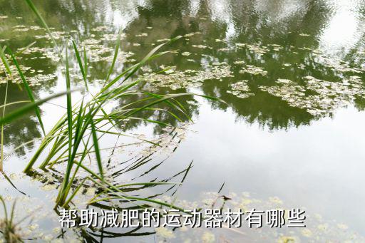 帮助减肥的运动器材有哪些