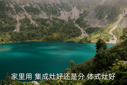 家里用 集成灶好还是分 体式灶好