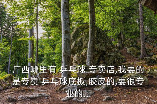 广西哪里有 乒乓球 专卖店,我要的是专卖 乒乓球底板,胶皮的,要很专业的...