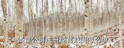  体育公司注册经营范围怎么填