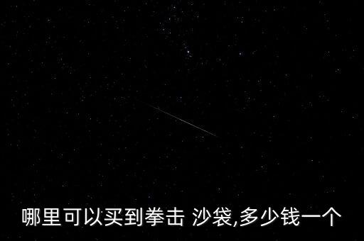 哪里可以买到拳击 沙袋,多少钱一个