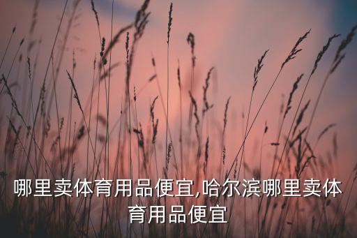 浏阳哪里卖体育用品便宜,哈尔滨哪里卖体育用品便宜