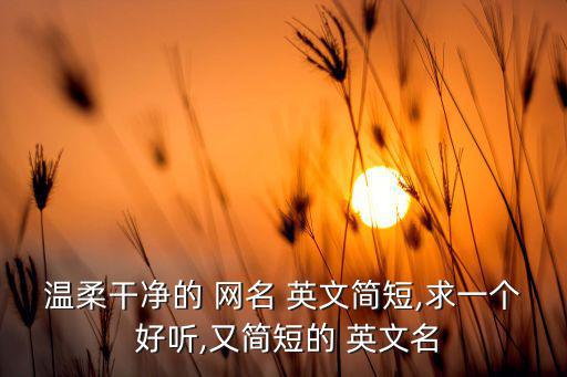 好听的英文名字网名