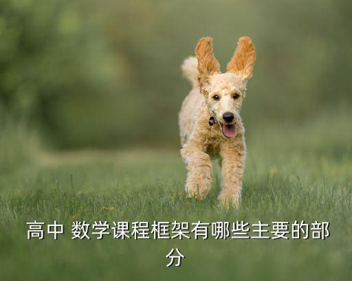  高中 数学课程框架有哪些主要的部分