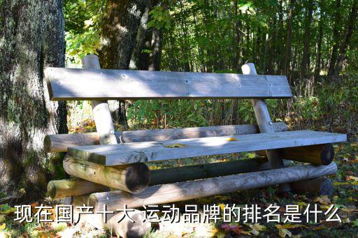 现在国产十大 运动品牌的排名是什么