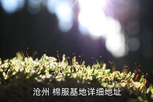 河北沧州棉服批发厂家,网上卖同型号棉服为何比杭州便宜?