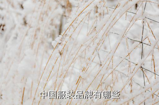 中国服装品牌有哪些