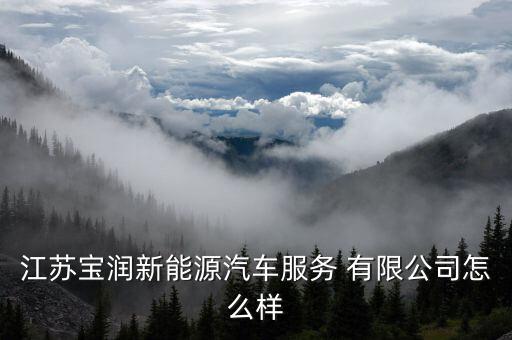 江苏宝润新能源汽车服务 有限公司怎么样