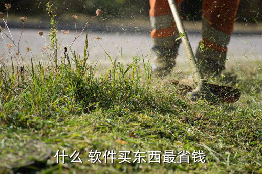 什么 软件买东西最省钱