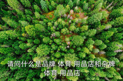 请问什么是品牌 体育 用品店和杂牌 体育 用品店