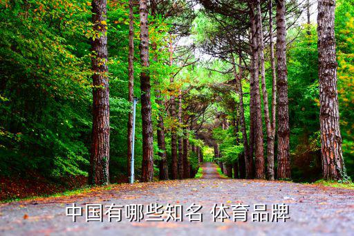 中国有哪些知名 体育品牌