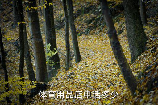 奔跑体育用品店电话多少