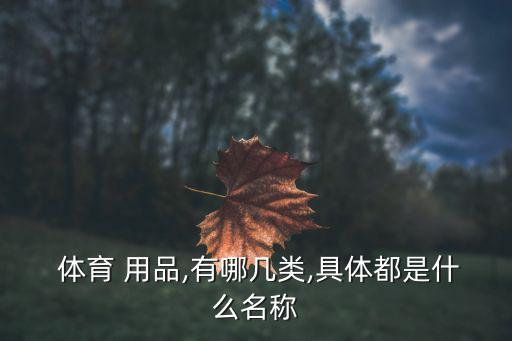 易耗体育用品有哪些